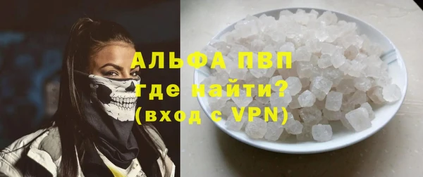 a pvp Бородино