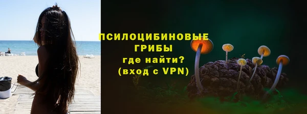 МДПВ Бугульма