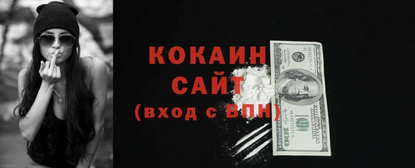 a pvp Бородино