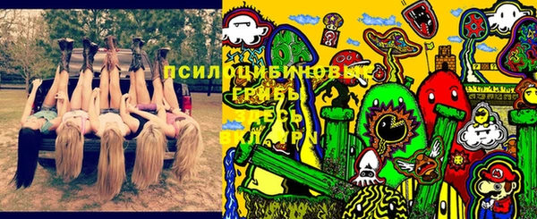 МДПВ Бугульма