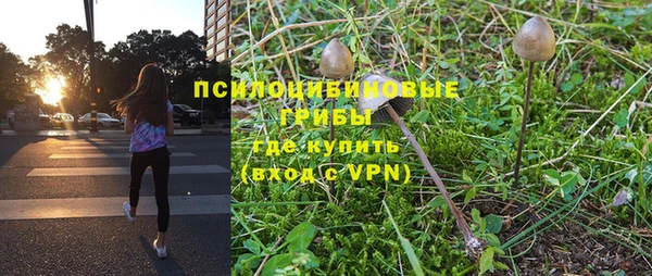 a pvp Бородино