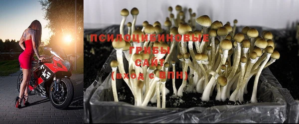 МДПВ Бугульма